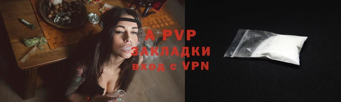 дмт Ростов