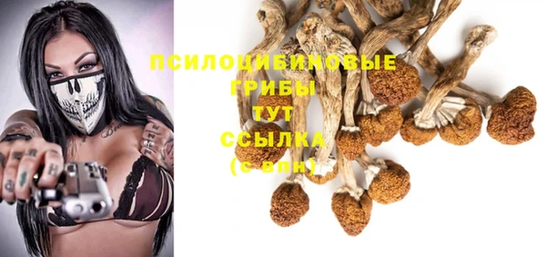гидропоника Пролетарск