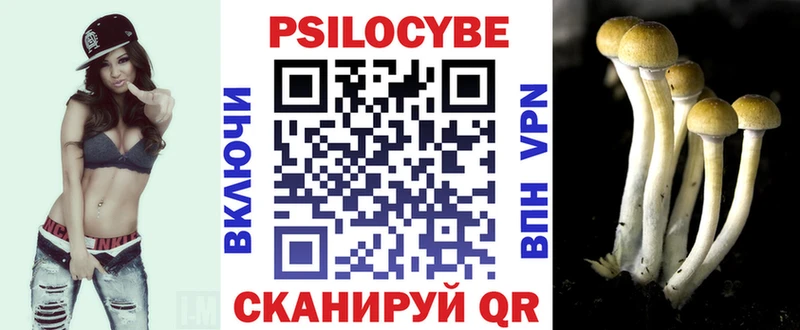 Галлюциногенные грибы Psilocybe  Купить закладки  Кизилюрт 